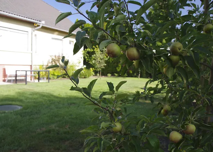 Csilla * 凯奇凯梅特